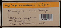 Image Associated With the Occurence